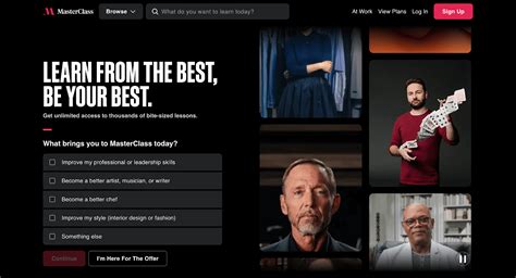 Website Examples 的图像结果