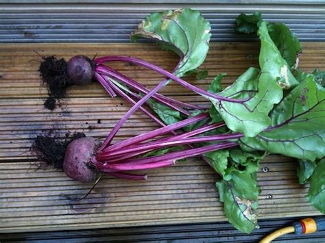 Slideshow: Foods To Boost Brain Power