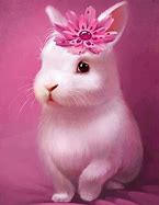 Image result for Baby Bunny Bellies Plant Flower