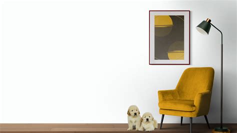 Evolve Color Paint & Primer