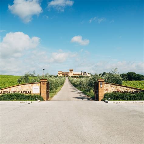 ARNALDO CAPRAI - VITICOLTORE IN MONTEFALCO (2026) All You Need to Know ...