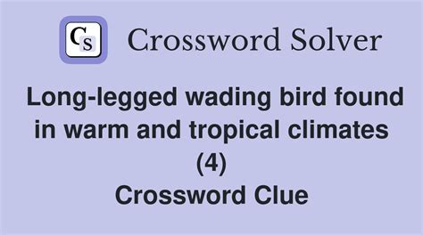 Long-legged wading bird found in warm and tropical climates (4 ...