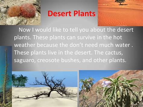 Ecosystem Type 的图像结果