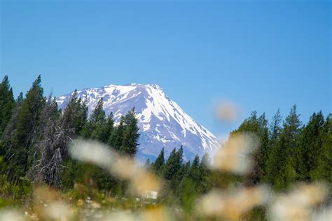 Exploring the Mysteries of Mount Shasta: Unveiling Lemurian Temples and ...
