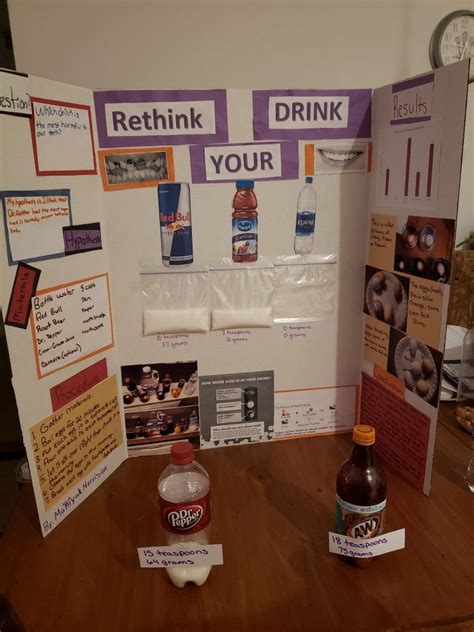 Class 4 Science Project 的图像结果