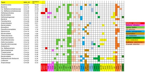 Diversity, Methane Oxidation Activity, and Metabolic Potential of ...