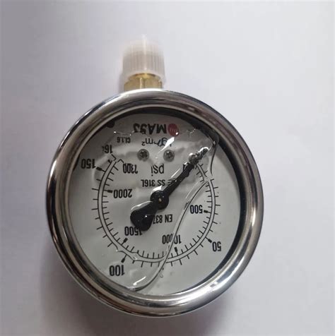 Hydraulic Pressure Gauge Service Provider from New Delhi