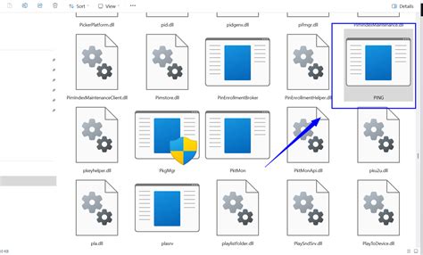 Ping Command 的图像结果