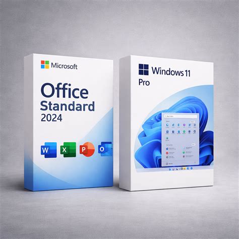 BUNDLE: Windows 11 Pro + Microsoft Office Standard 2024 ...