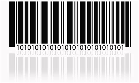 5 Important Barcode Label Types Based on Information | Selection guide ...