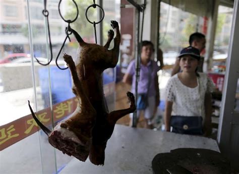 Despite Innumerable Petitions, China Is Going To Host The Barbaric ...