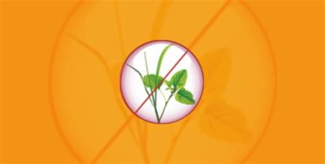 Fusiflex | Syngenta