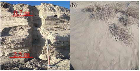The Formation of Yardangs Surrounding the Suoyang City Ruins in the ...