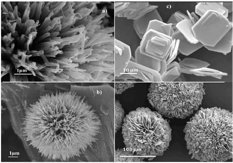 Hydrothermal Synthesis of Nanostructured Vanadium Oxides