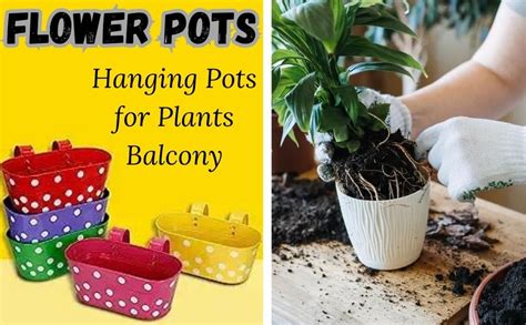AYMH 6 Pcs Hanging Railing Planters Flower Hanging Pots for Home ...