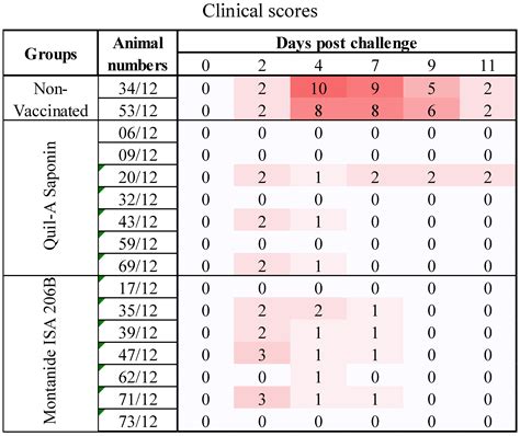 Efficacy of SAT2 Foot-and-Mouth Disease Vaccines Formulated with ...