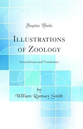 Buy Illustrations of Zoology: Invertebrates and Vertebrates (Classic ...