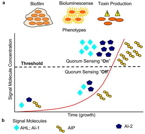 Nanoparticles for Signaling in Biodiagnosis and Treatment of Infectious ...
