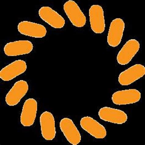 FILIGREE MUSEUM Guide (2026) All You Need to Know BEFORE You Go (with ...