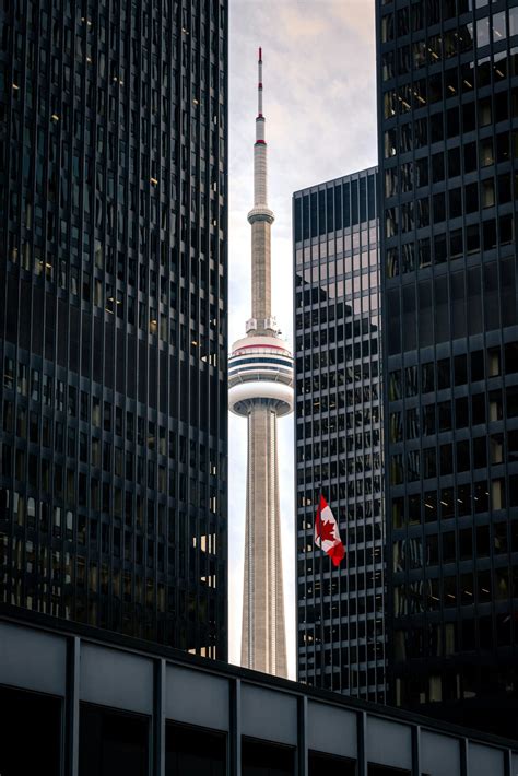 Here is a look at how the good and bad of 2025 will shape Ontario’s future
