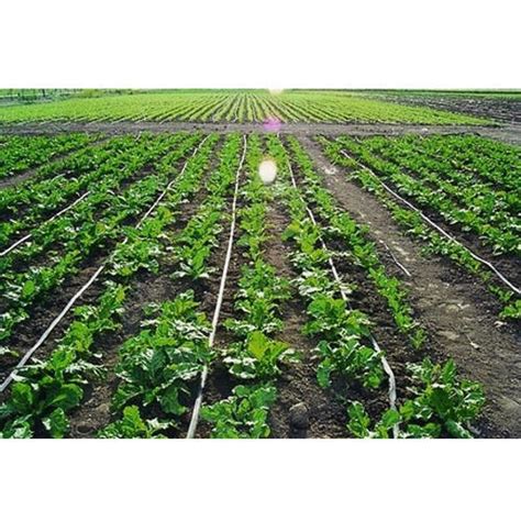 400 Plants Green Vegetable Drip irrigation package - Drip Irrigation BD ...
