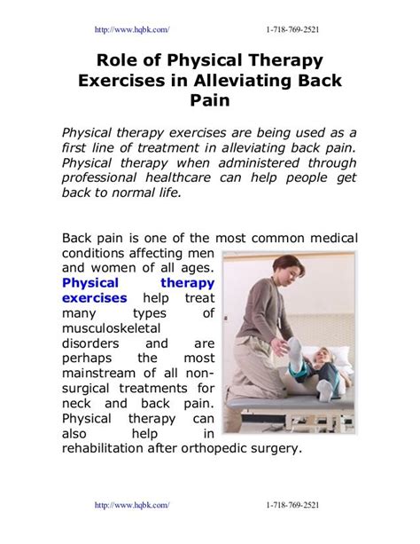 Image result for Physical Therapy Back Exercises