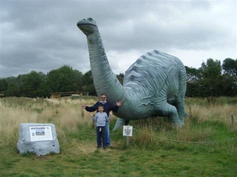 Amazing place for toddlers - Reviews, Photos - All Things Wild ...