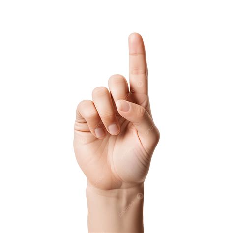 Finger Pointing Up, Finger, Hand, Point PNG Transparent Image and Clipart for Free Download
