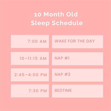 Sample 10 Month Old Sleep Schedule With Naps and Feedings