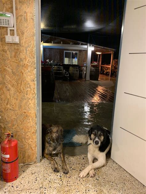 Viridix Office Photos