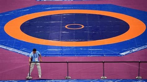 Wrestling Mats - Manufacturer of Membrane Biogas Balloons