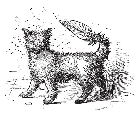 Image result for Small Dog Drawing