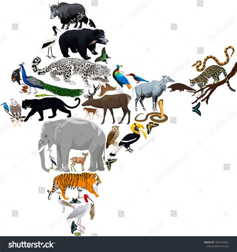 Great Indian Bustard: Over 1 Royalty-Free Licensable Stock Vectors ...