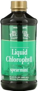 BURIED TREASURE Liquid Chlorophyll, Spearmint, 16.23 fl oz (480 ml ...