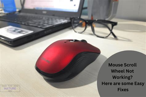 Image result for Mouse Scrolling Problems