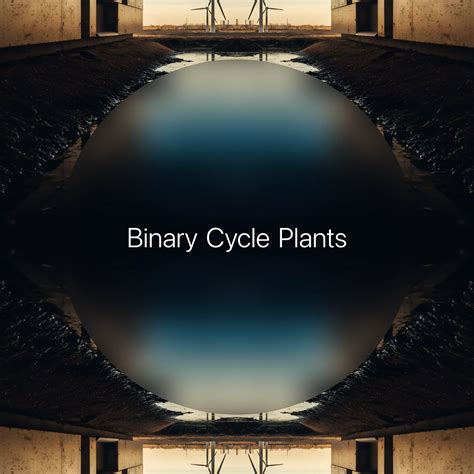 Binary Cycle Plants → Term