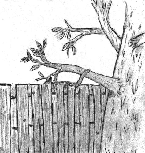 The Lost Kitten (The Kitten Who Saved a Man Book 2) eBook : Fernau ...