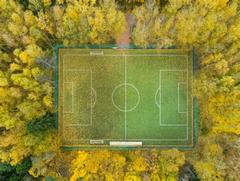 Sportsfield within Forest 的图像结果