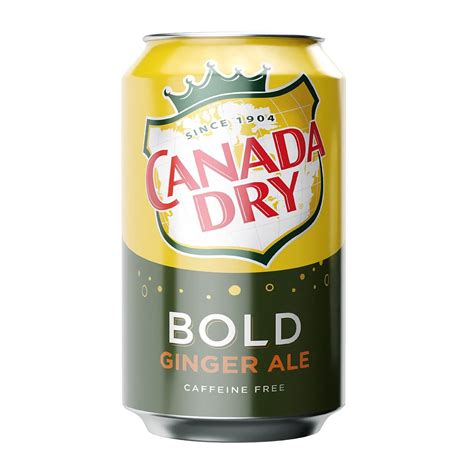 Canada Dry Bold Ginger Ale Can 355ml - 3D Model by murtazaboyraz