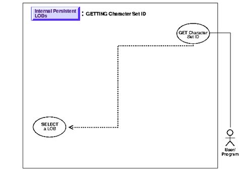 Internal Persistent LOBs, 29 of 43