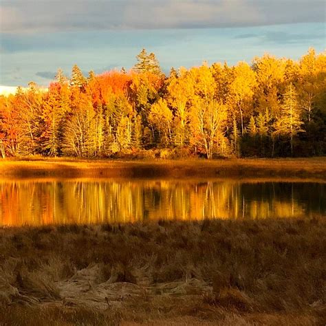 OCEANARIUM AND EDUCATION CENTER (2026) All You Need to Know BEFORE You ...