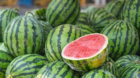 Which Place is known as the Watermelon Capital of the World?
