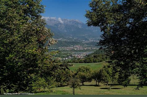 Servizi - Consorzio Tutela Morone e Castagno del Feltrino - Valbelluna