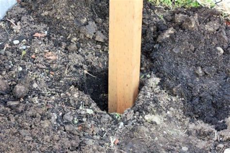 Image result for How to Make Raspberry Support Using Calf Panels