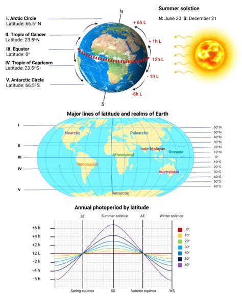 Latitude 的图像结果