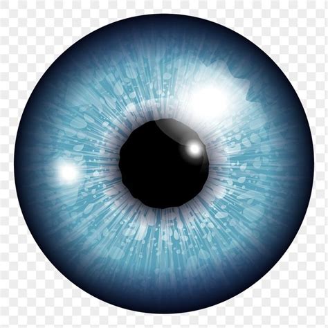 Realistic Blue Eye PNG Sticker - Transparent Background