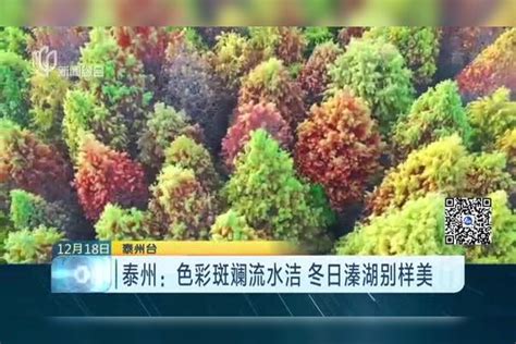 泰州海陵撂石锁成功入选国家级非遗_荔枝网新闻