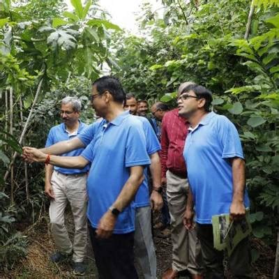 Railways develops Miyawaki plantation in Secunderabad