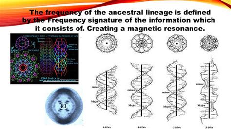 Image result for DNA Reprogramming